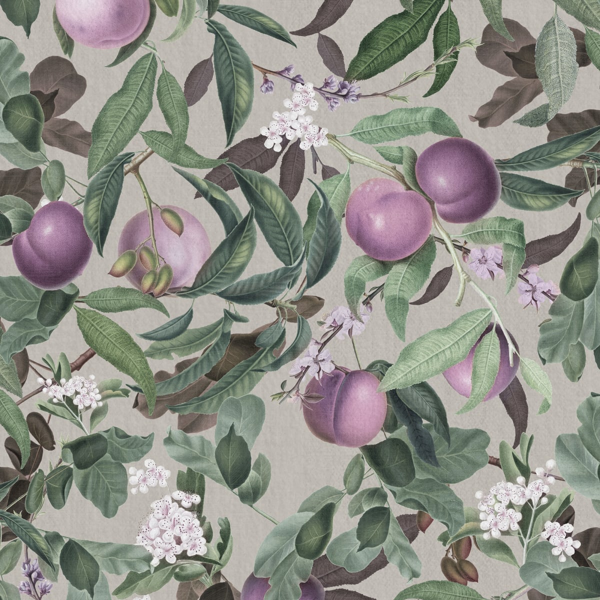 Tapetti Peach Valley, Lilac