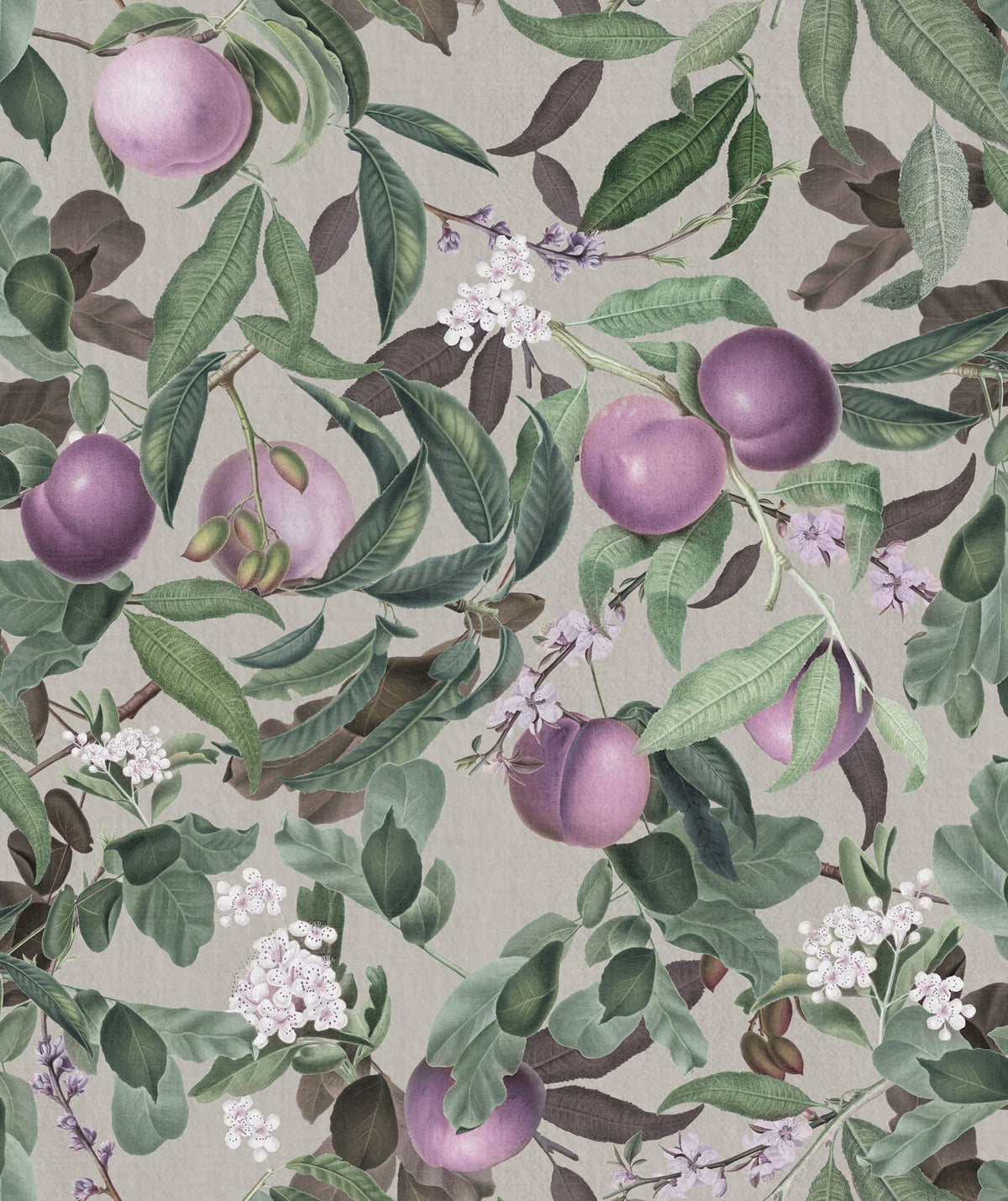 Tapetti Peach Valley, Lilac