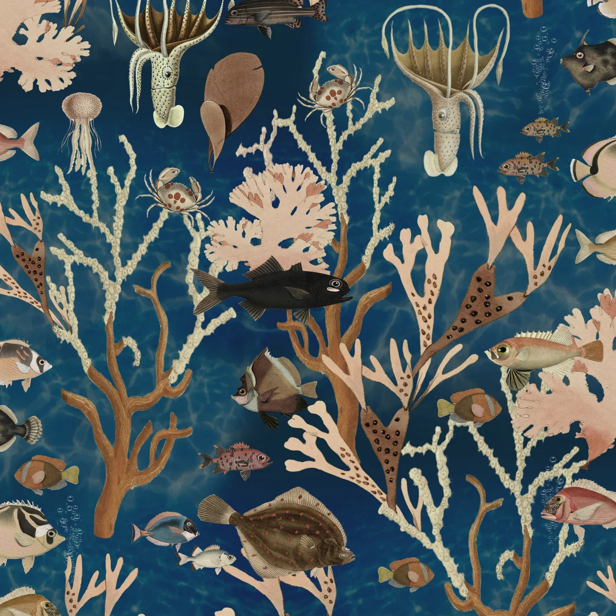 Tapetti Aquarium, Ocean