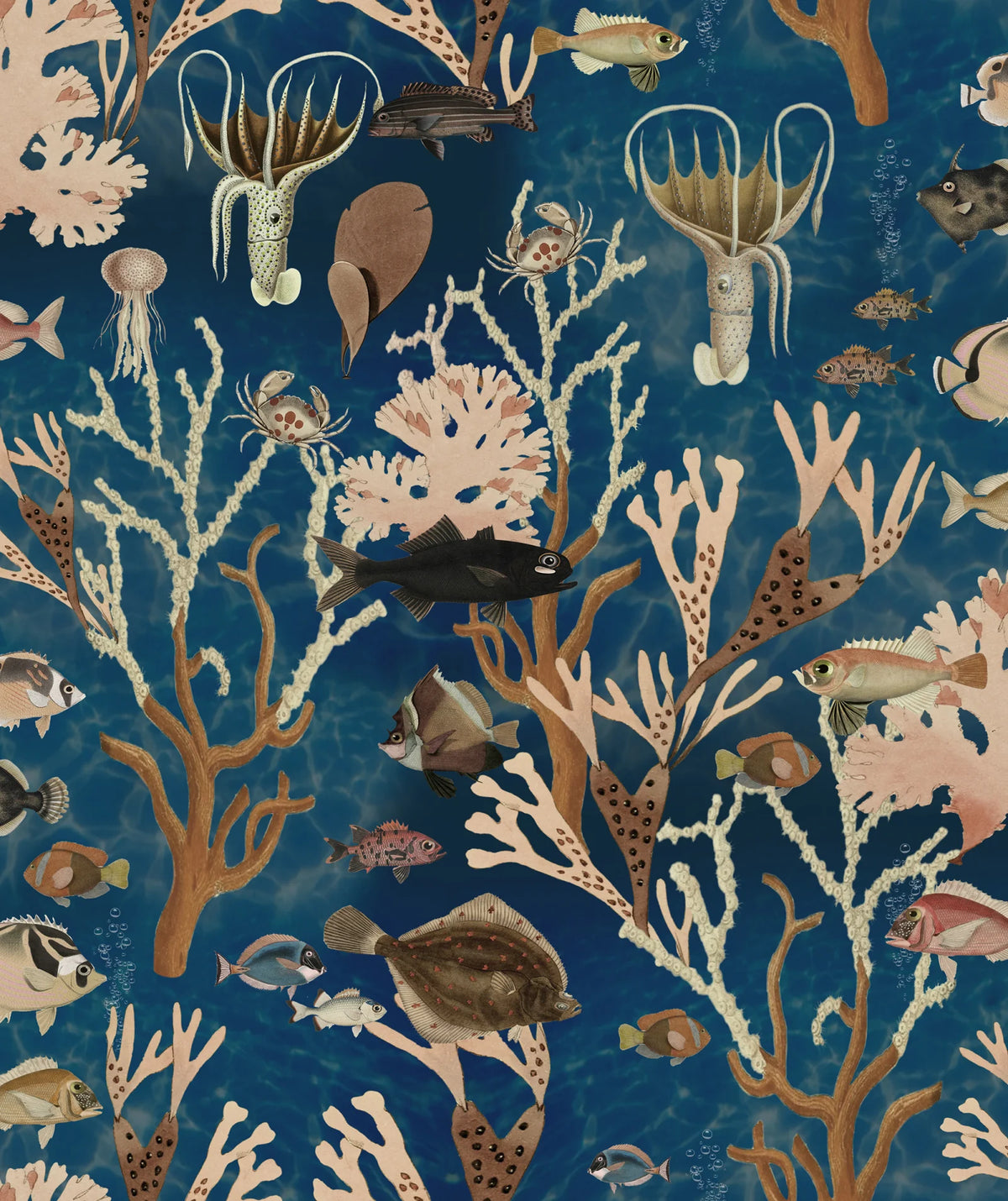 Tapetti Aquarium, Ocean