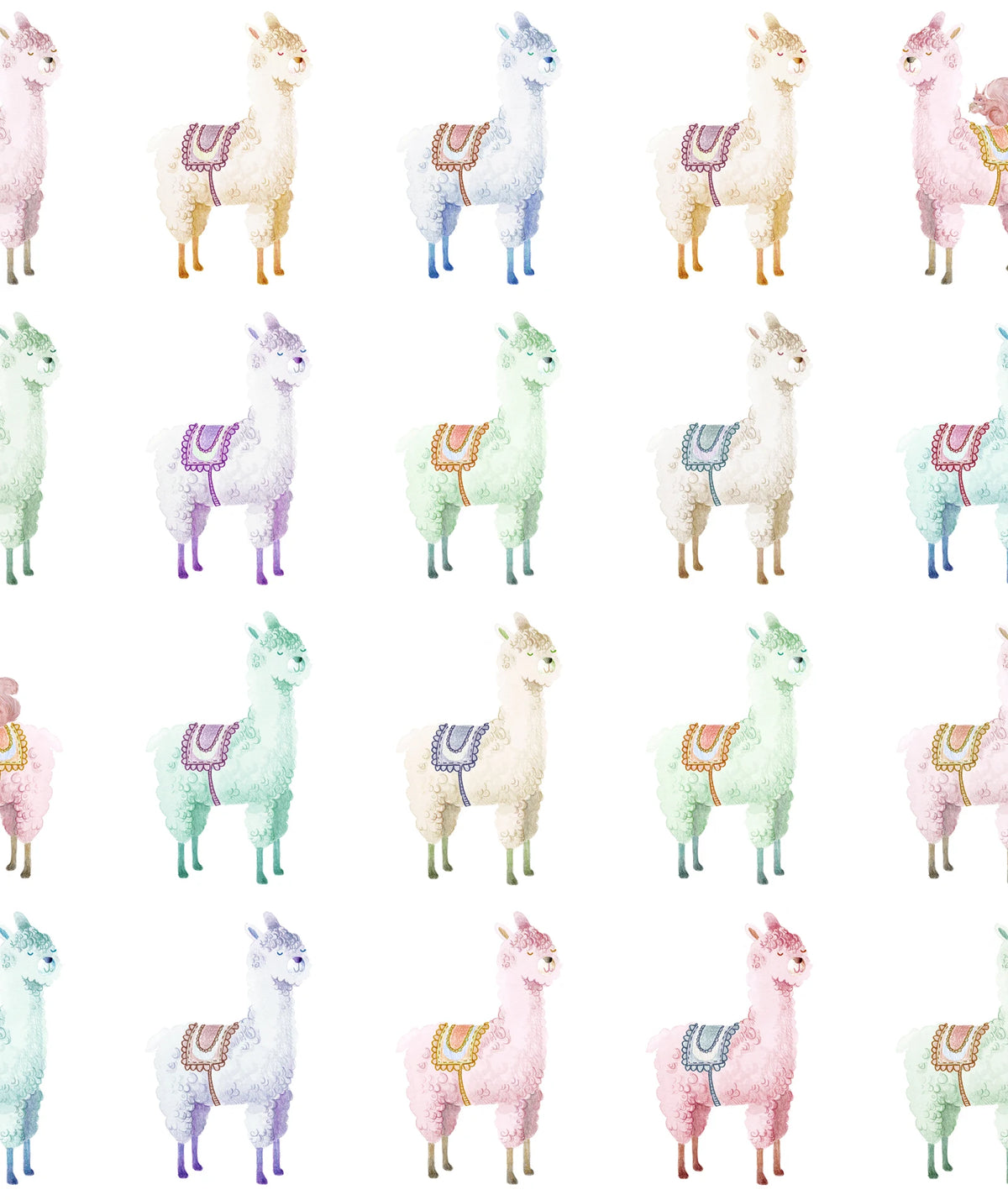 Tapetti Alpaca Rebel, Rainbow