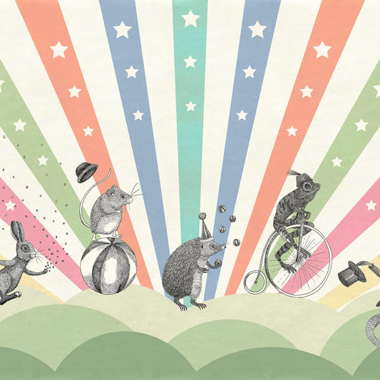 Tapetti Circus, Rainbow