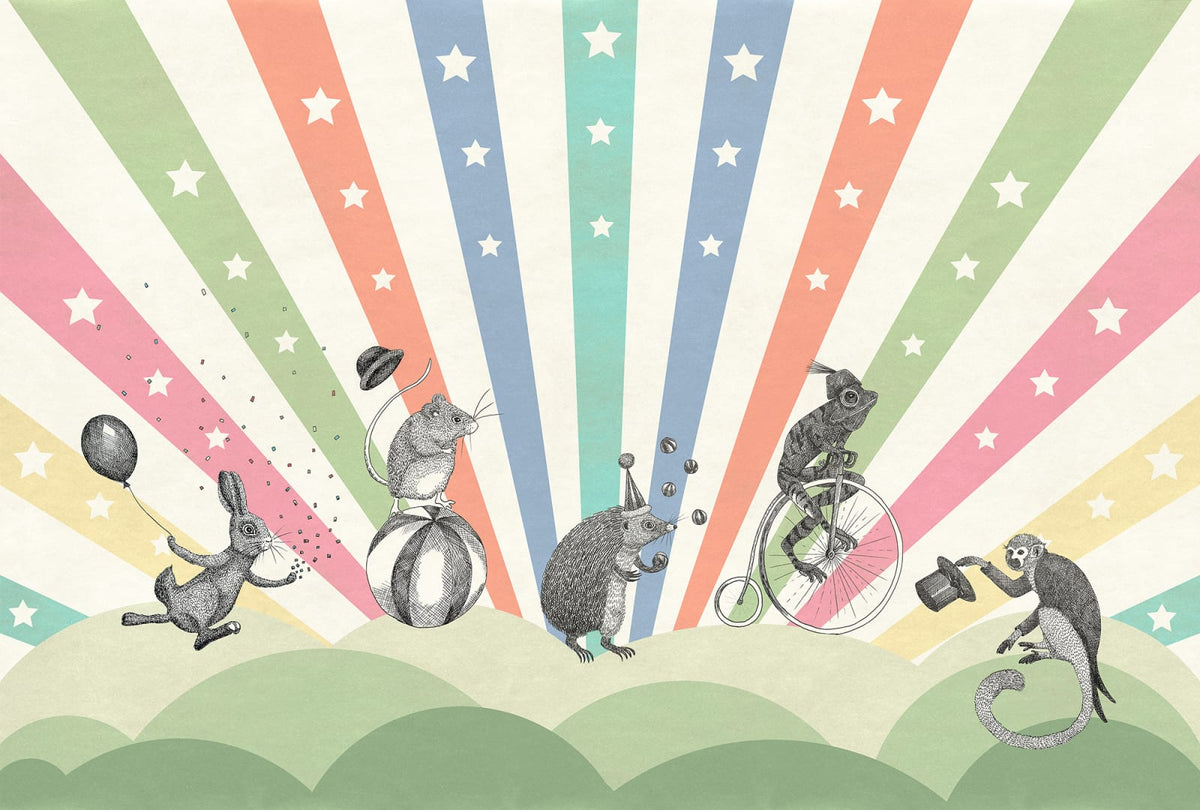 Tapetti Circus, Rainbow