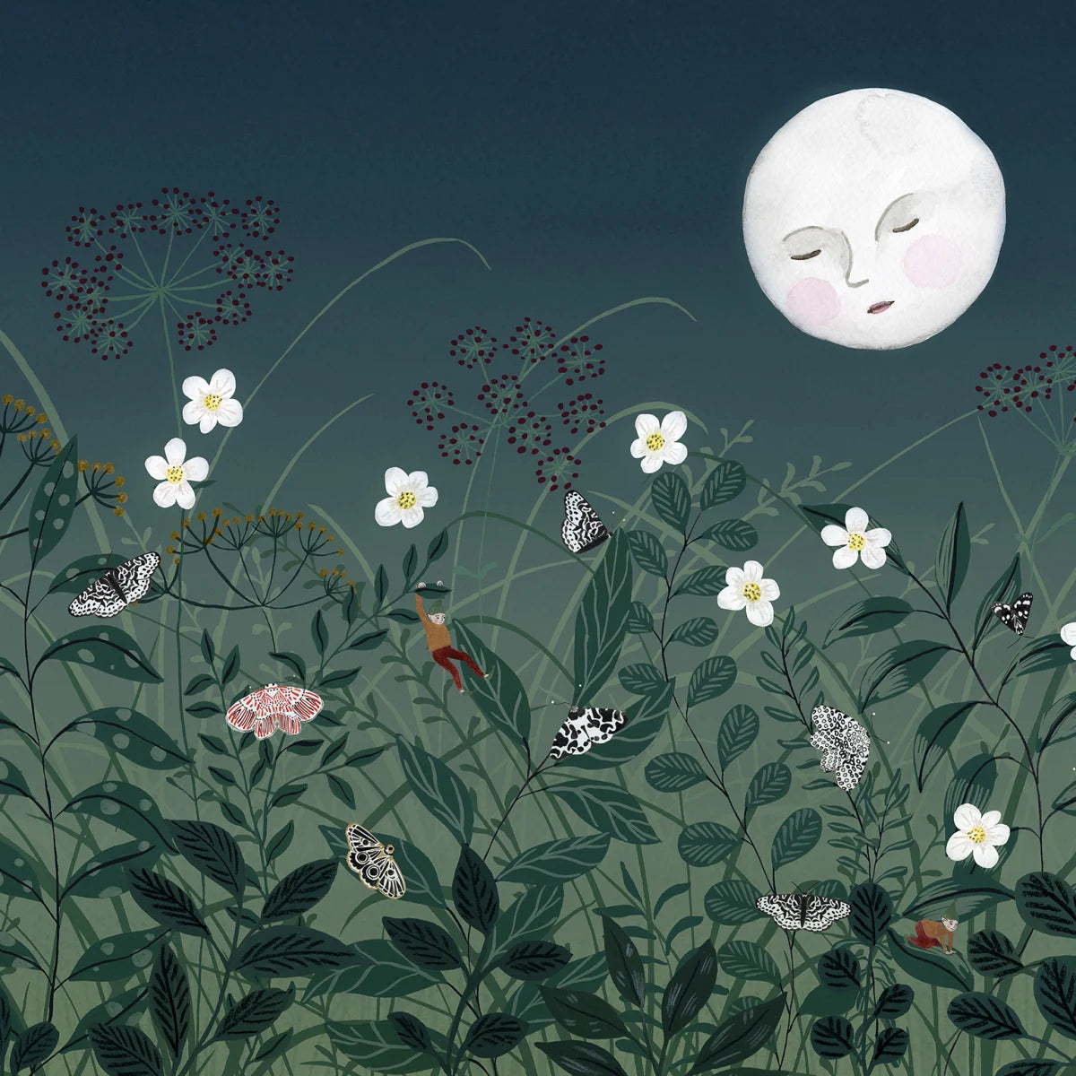 Tapetti Pixie, Night