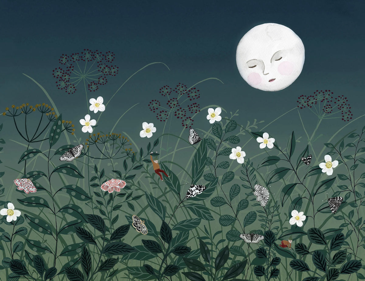 Tapetti Pixie, Night