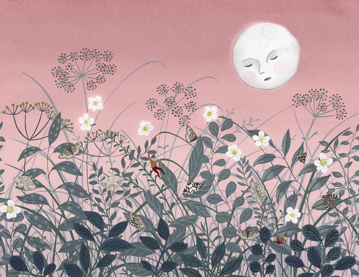 Tapetti Pixie, Dawn