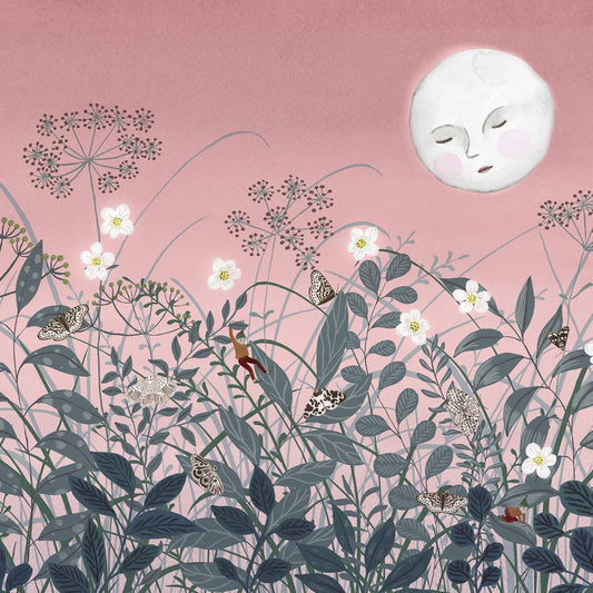 Tapetti Pixie, Dawn
