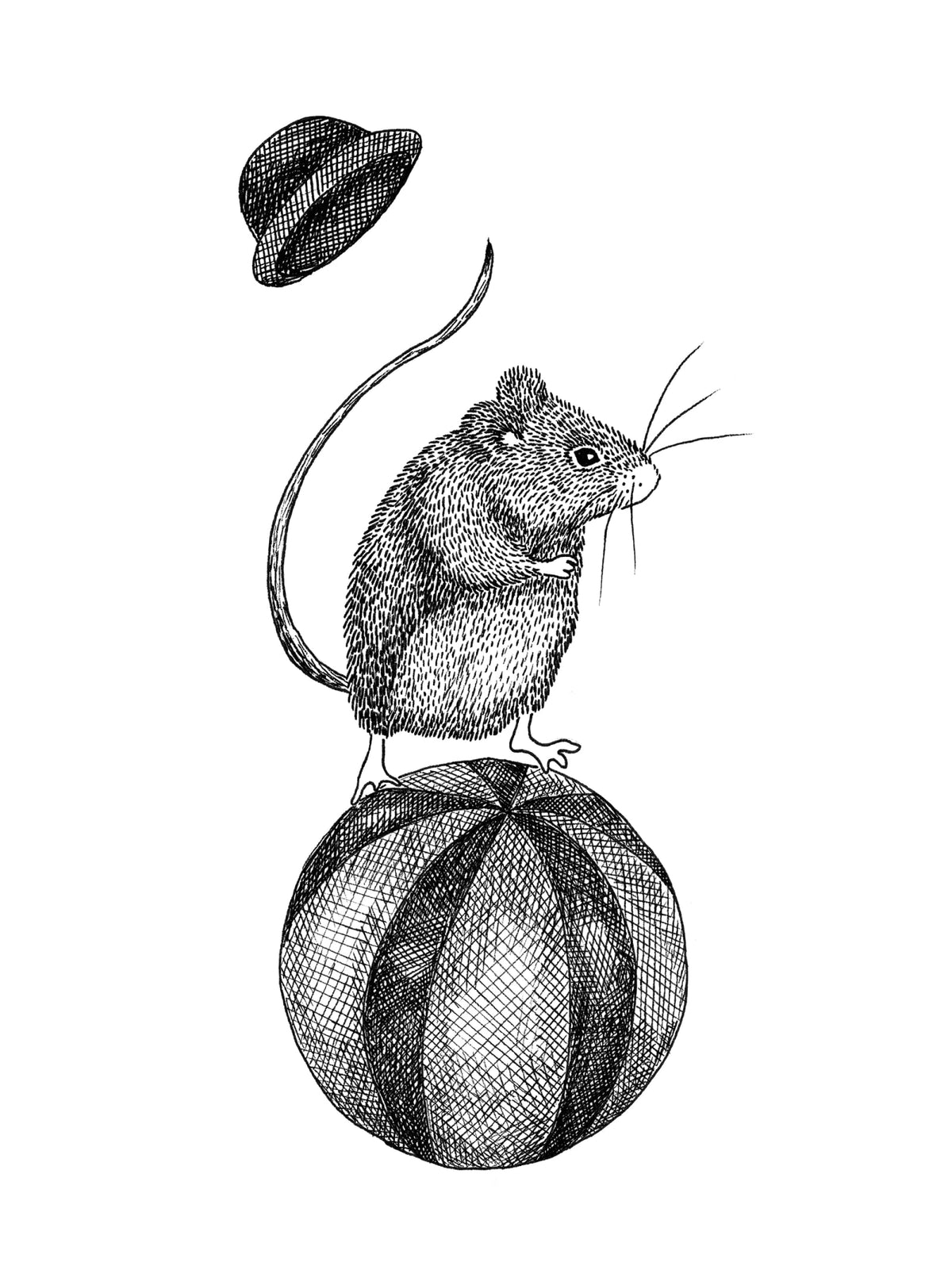Tapetti Circus Animal, Maximus