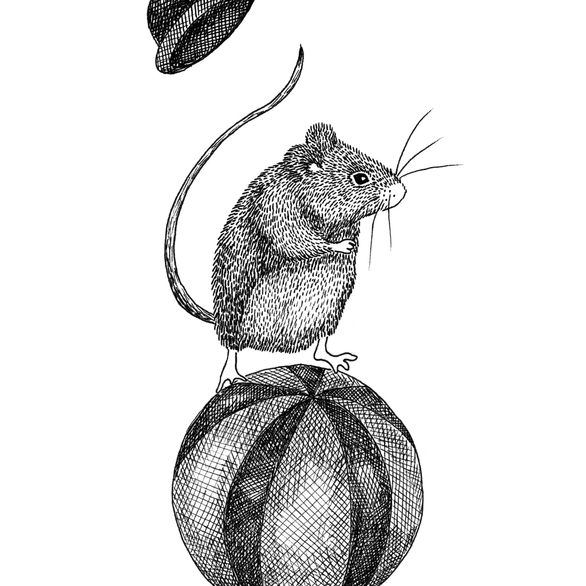 Tapetti Circus Animal, Maximus