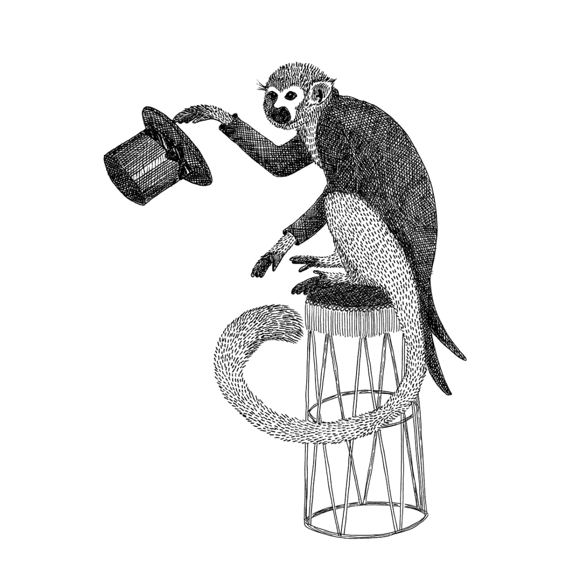 Tapetti Circus Animal, Mr Monkey