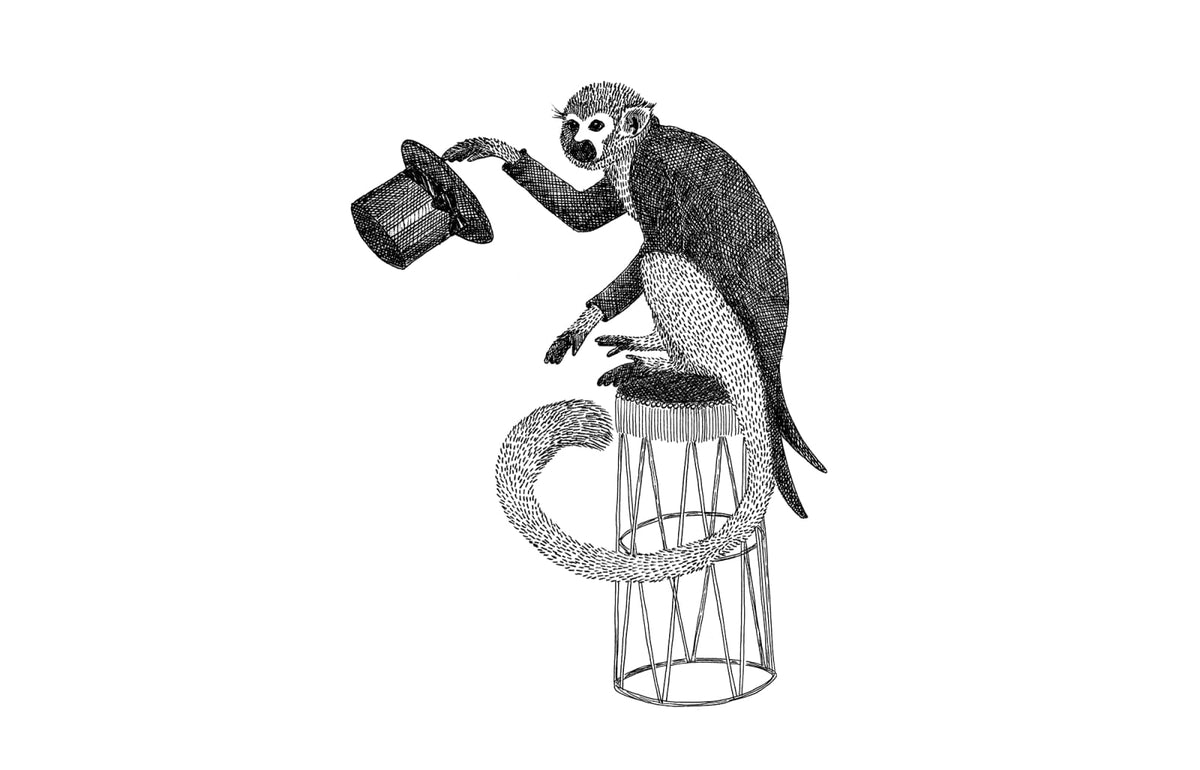 Tapetti Circus Animal, Mr Monkey