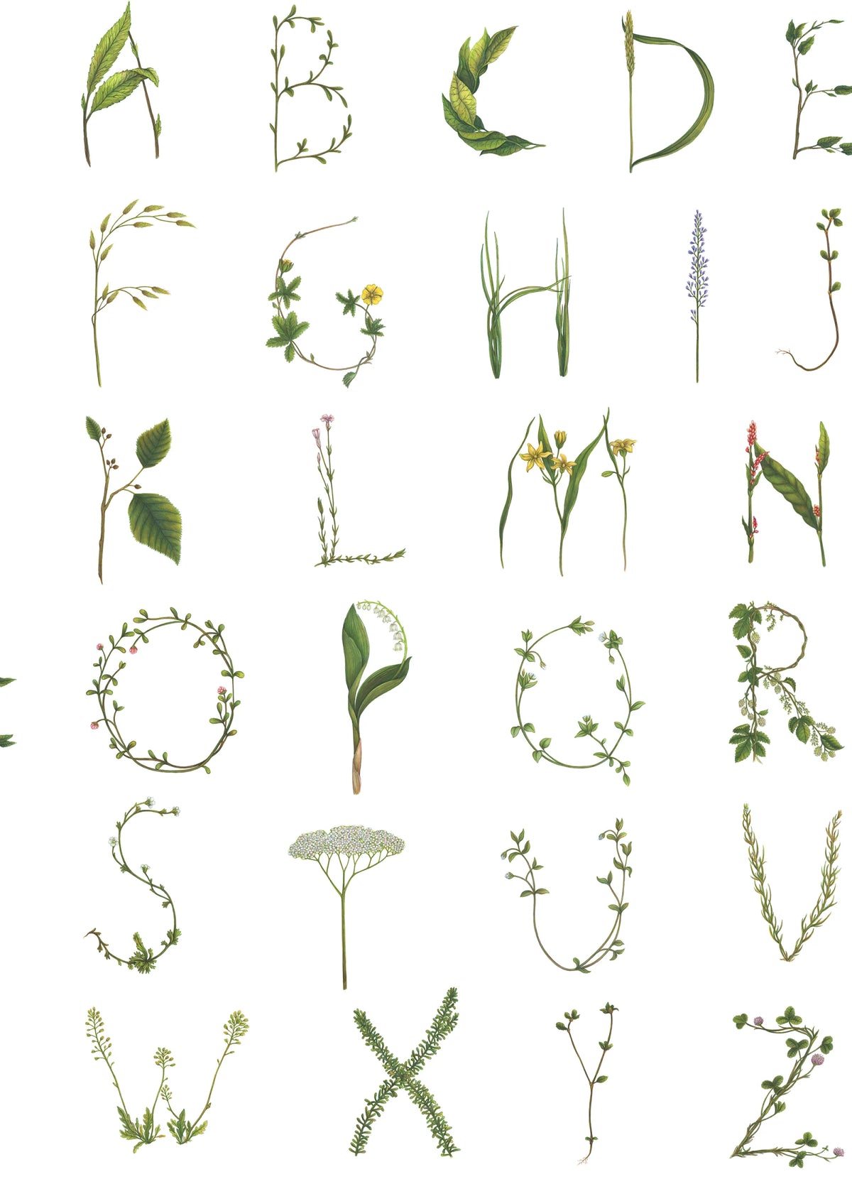 Tapetti Floral Alphabet Mini English