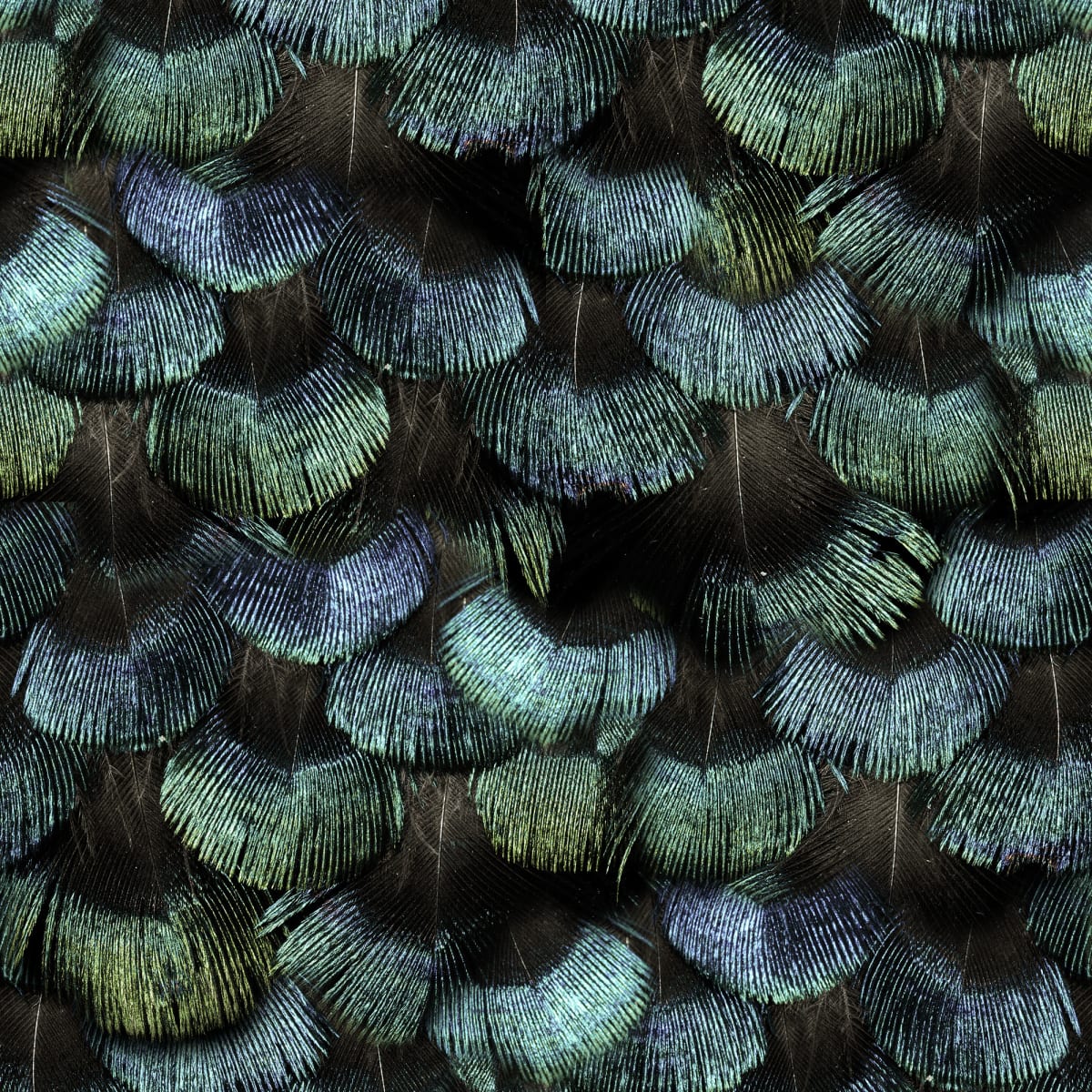 Tapetti Petite Peacock Plumage, Opal