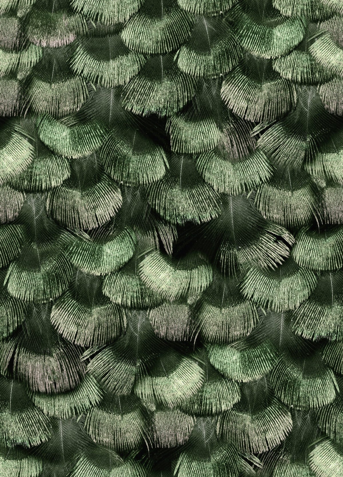 Tapetti Petite Peackock Plumage, Jade