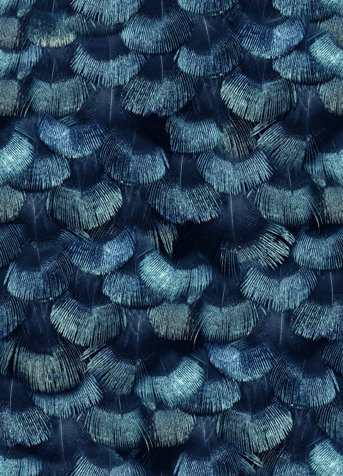 Tapetti Petite Peacock Plumage, Teal