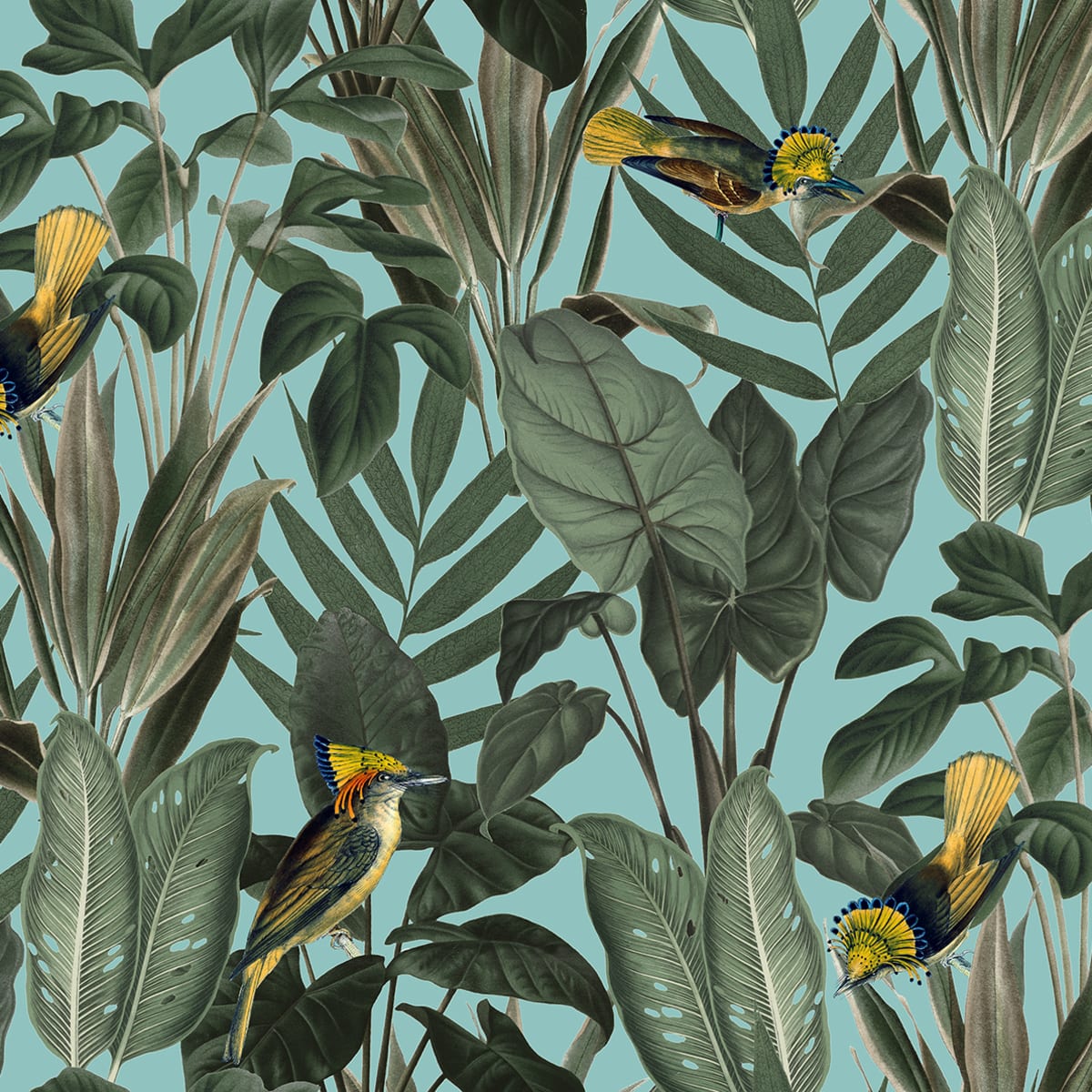 Tapetti Birds of Paradise, Lush Green
