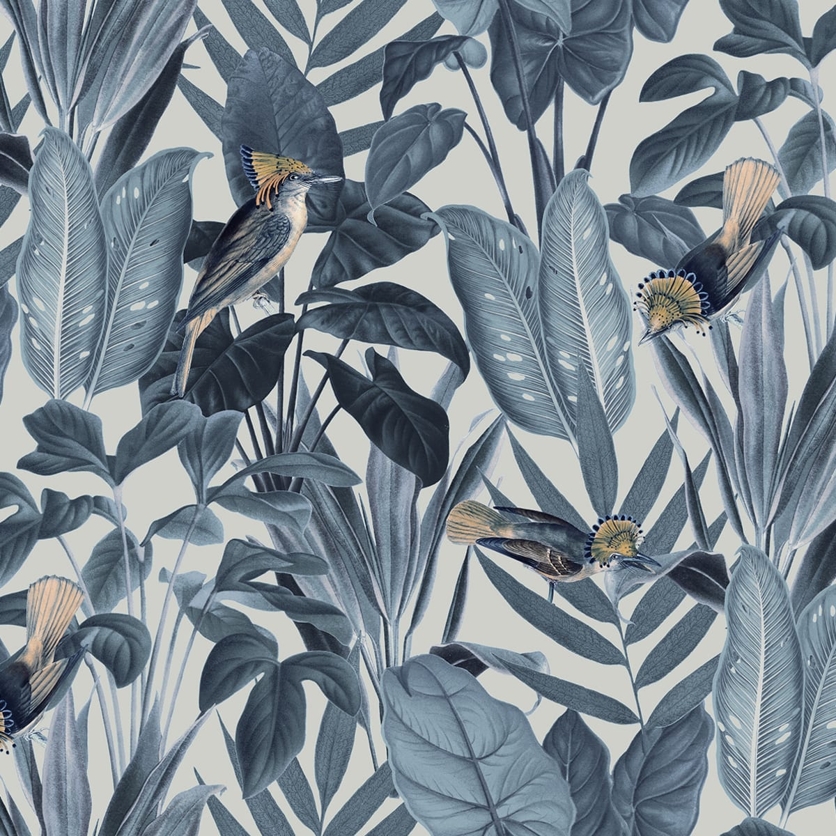 Tapetti Birds of Paradise, Nightfall