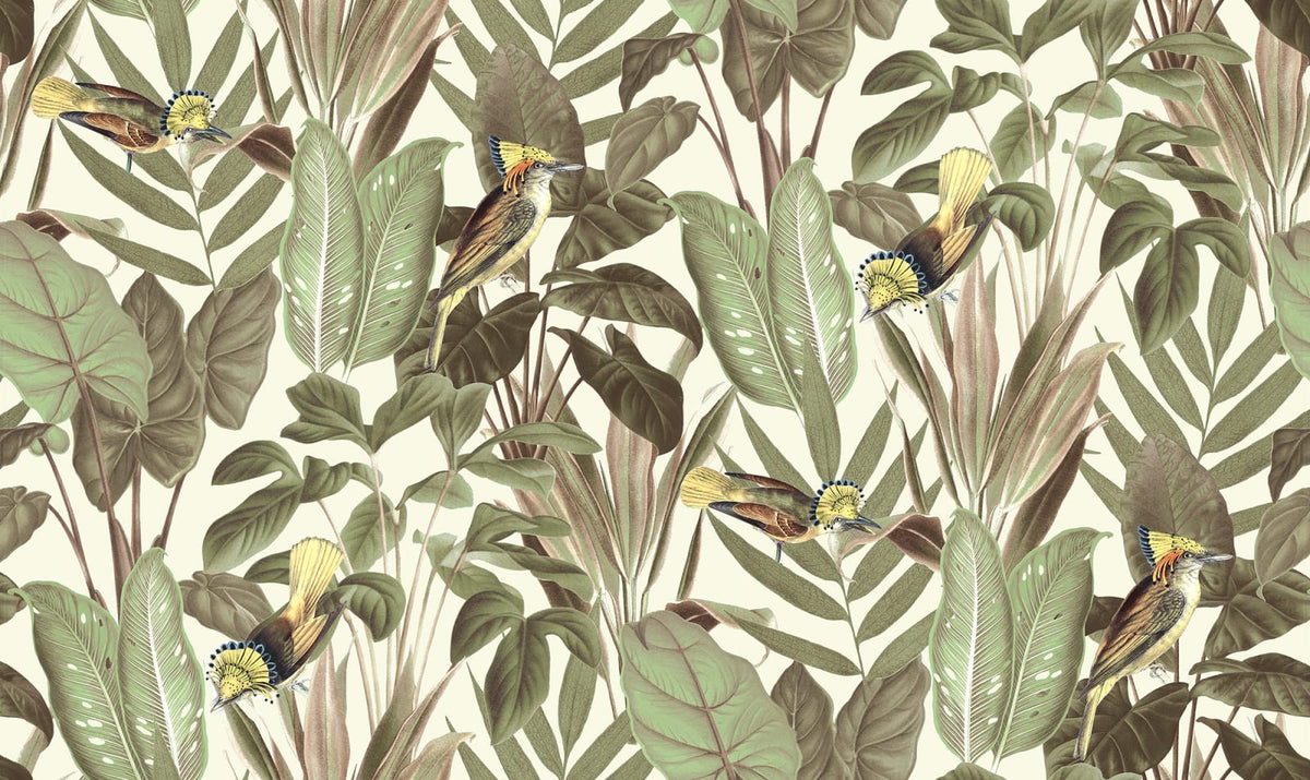Tapetti Birds of Paradise, Bright Dawn