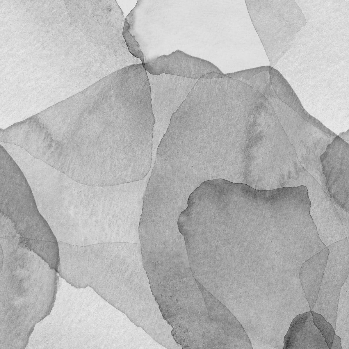 Tapetti Petals, Graphite