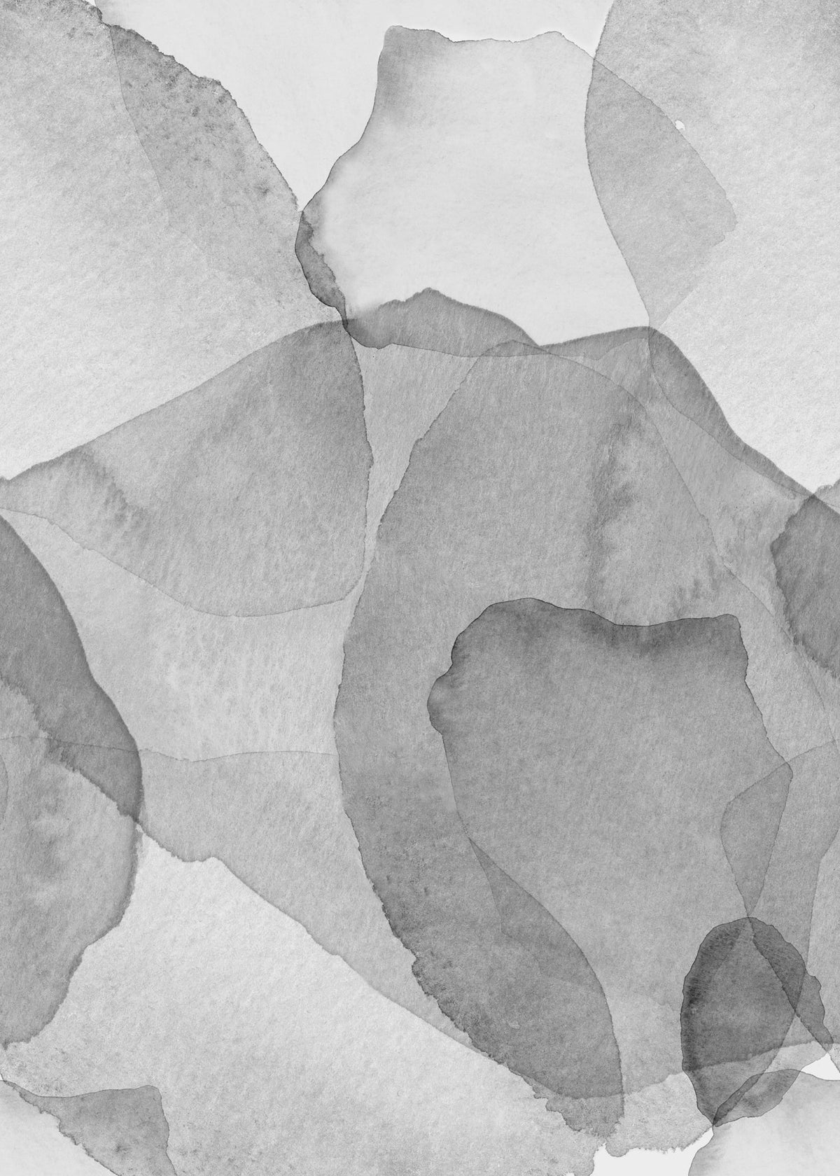 Tapetti Petals, Graphite