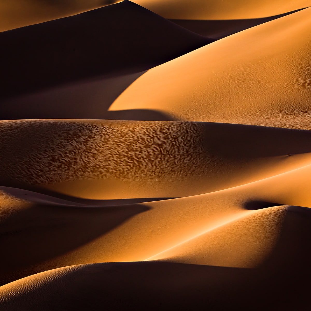 Tapetti Sahara