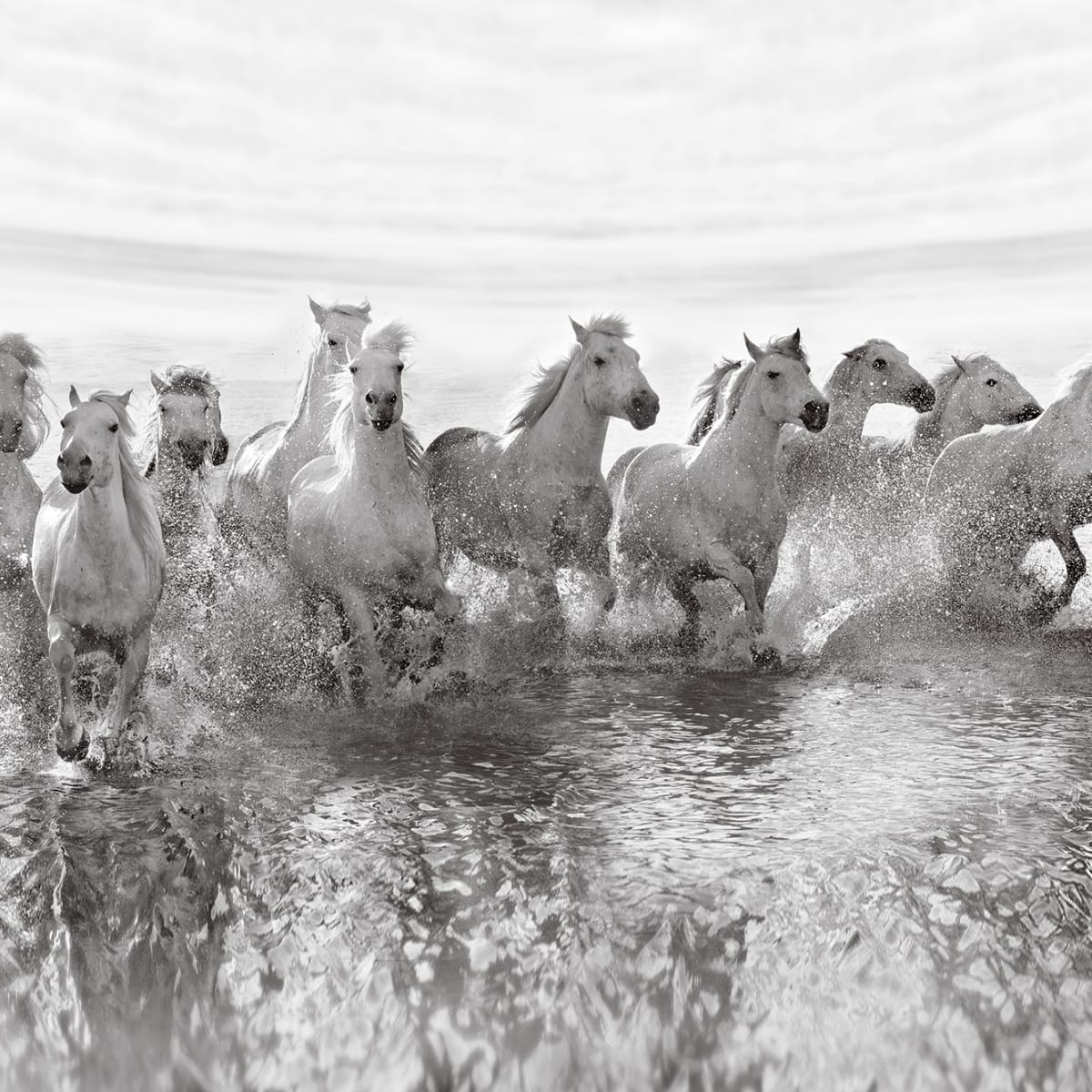 Tapetti Running Horses