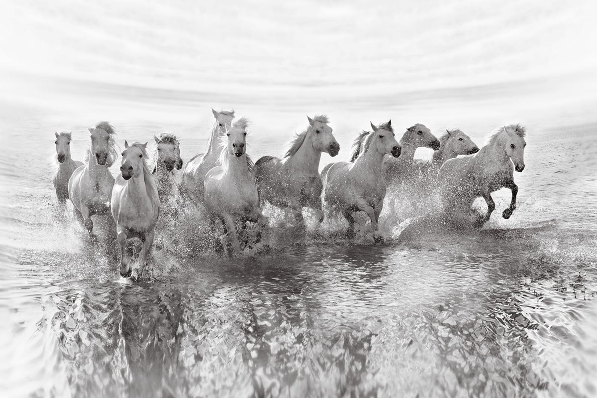Tapetti Running Horses
