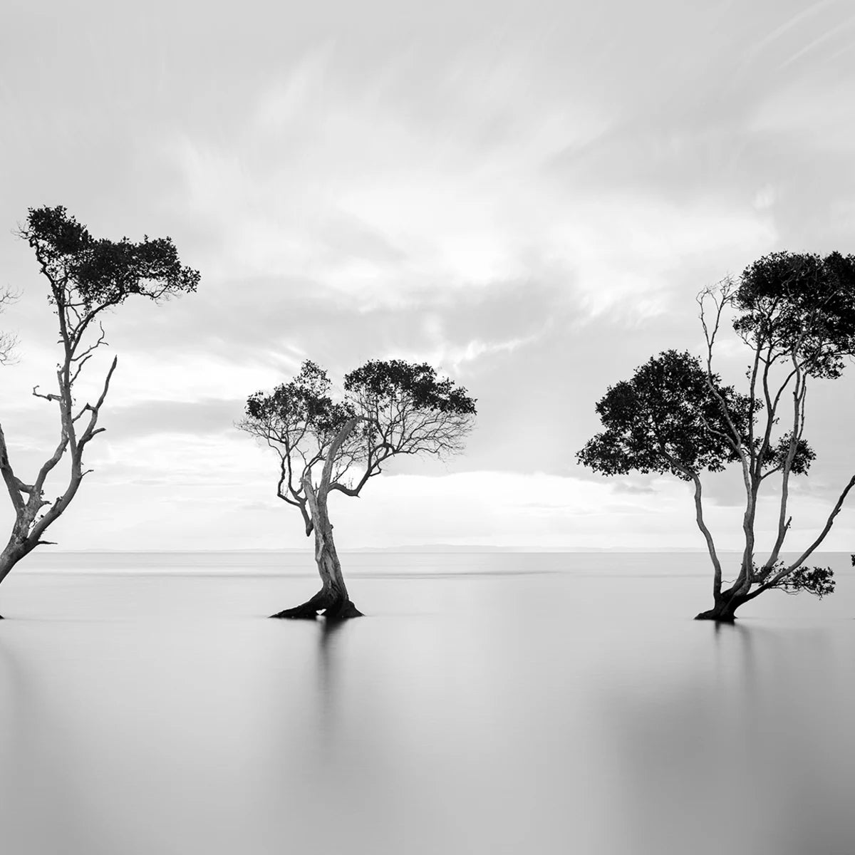 Tapetti Peaceful Tree