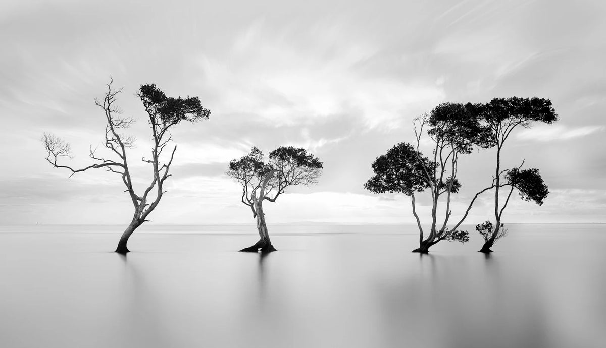 Tapetti Peaceful Tree