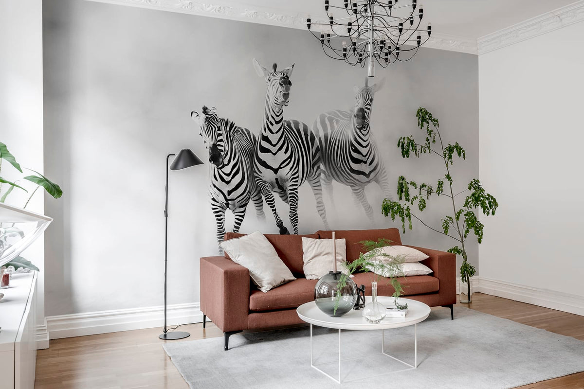 Tapetti Graphic Zebras