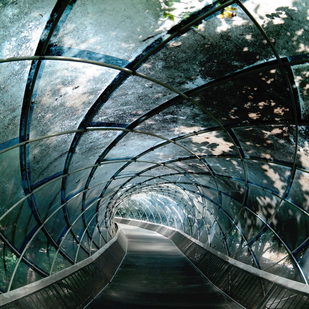 Tapetti Tunnel Of Glass