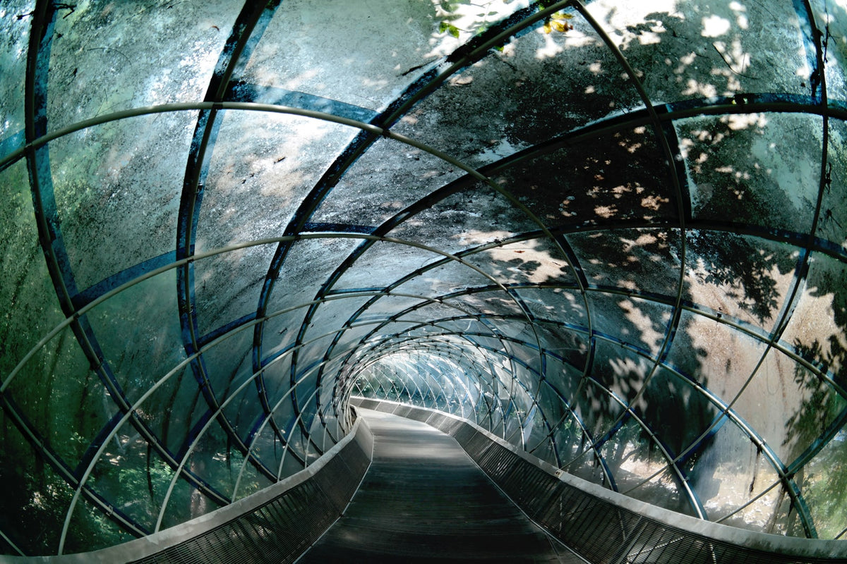 Tapetti Tunnel Of Glass