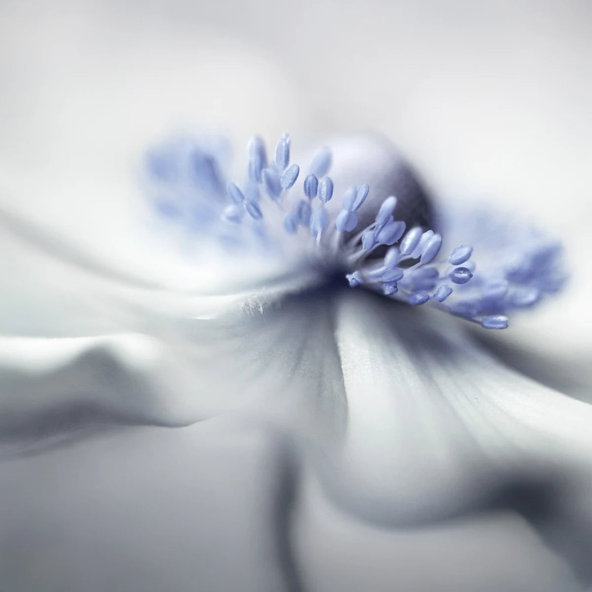 Tapetti Blue Pastil