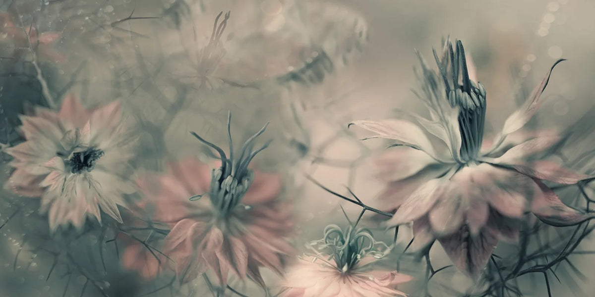 Tapetti Vintage Blossoms