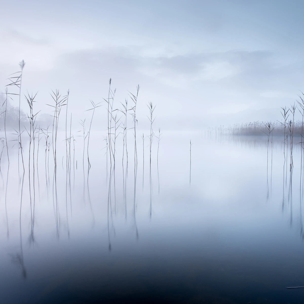 Tapetti Calm Lake