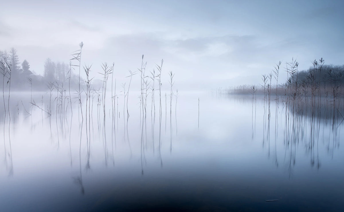 Tapetti Calm Lake