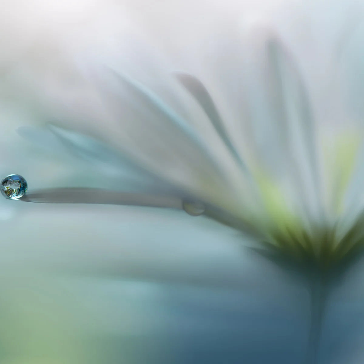 Tapetti Raindrop