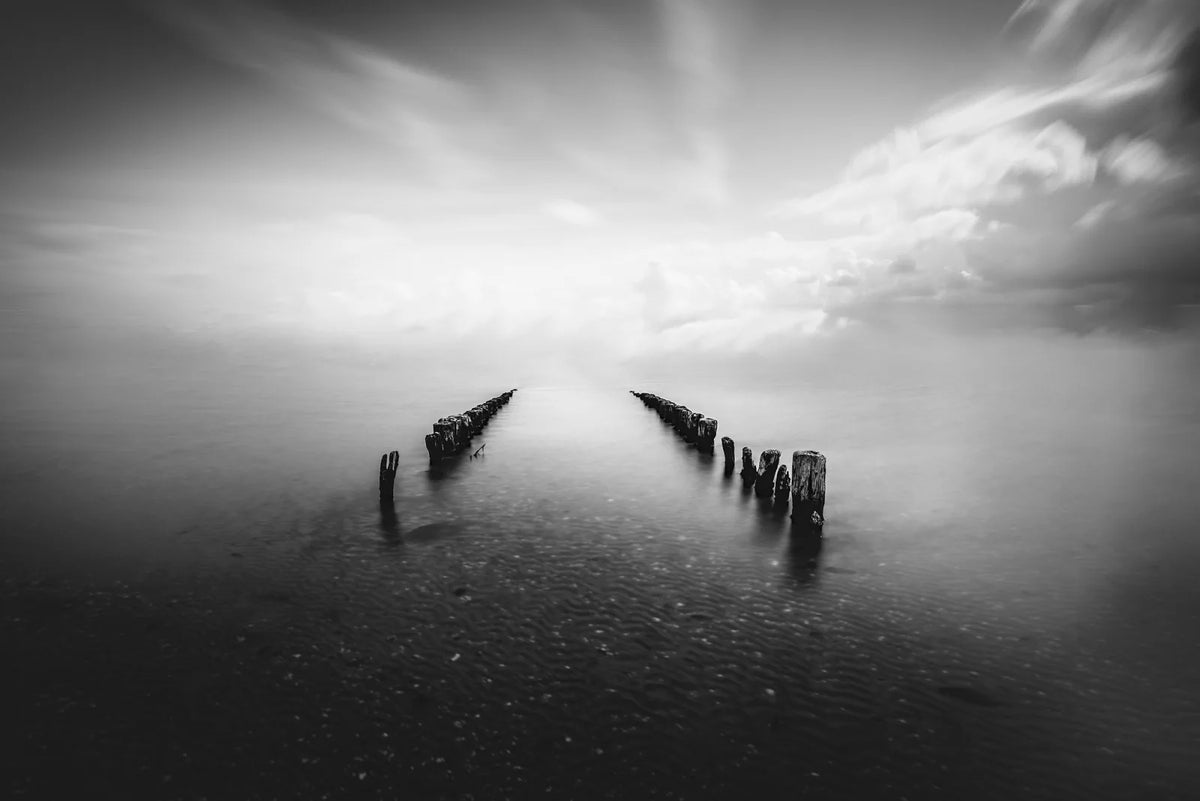 Tapetti Into The Horizon