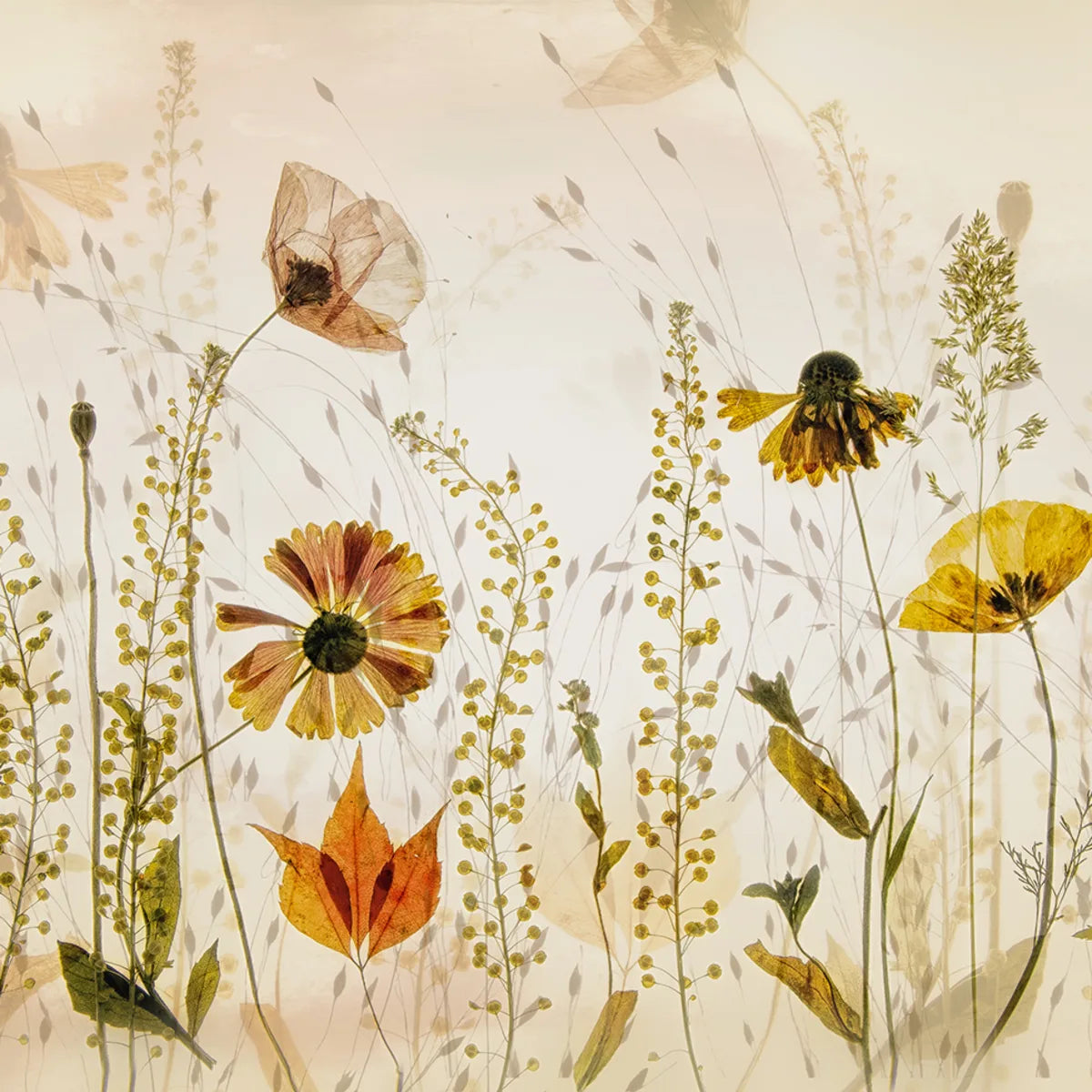 Tapetti Midsummer Meadow