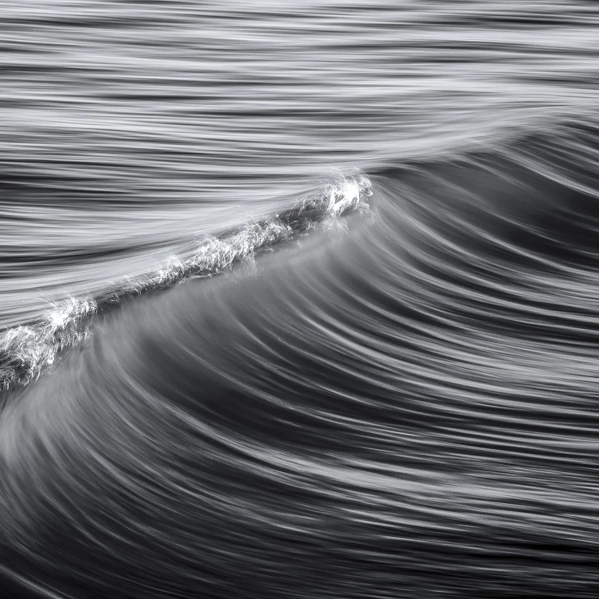 Tapetti Graphic Wave