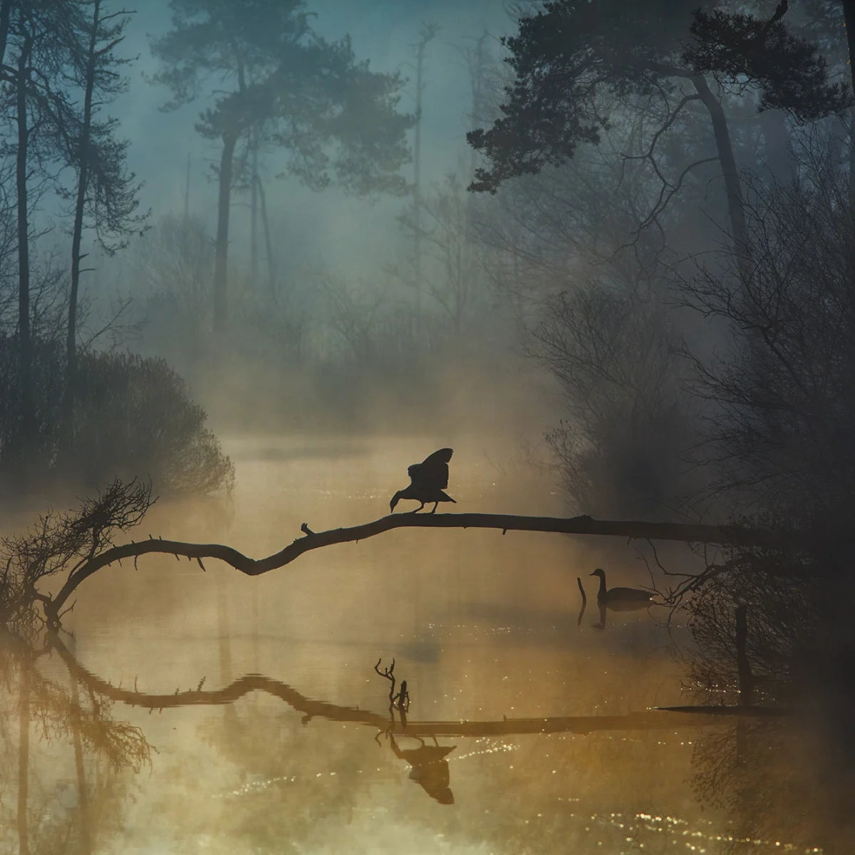Tapetti Morning Lake