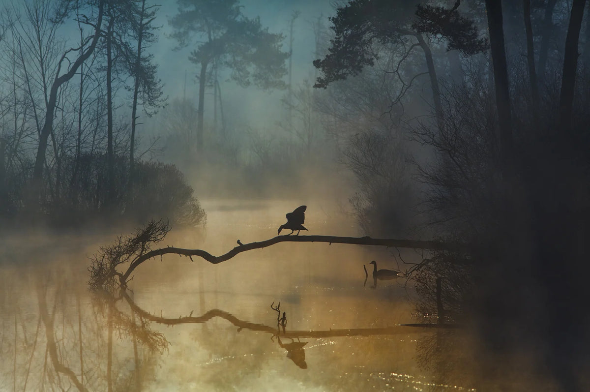 Tapetti Morning Lake