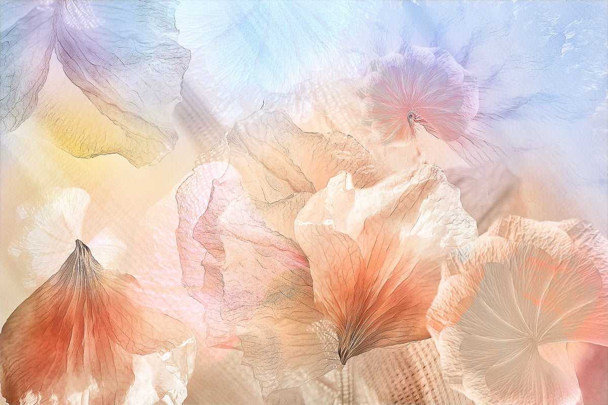 Tapetti Pastel Petals