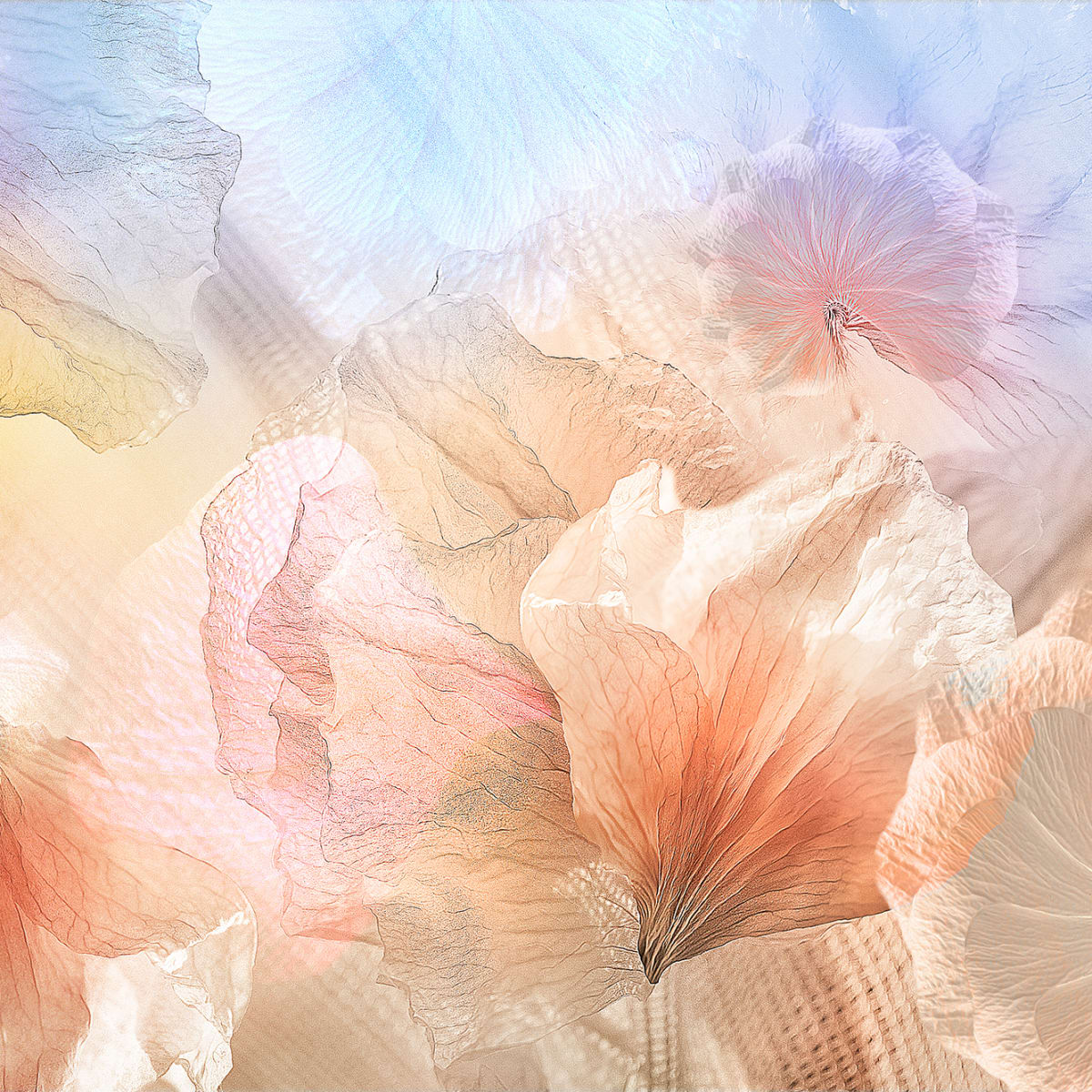 Tapetti Pastel Petals