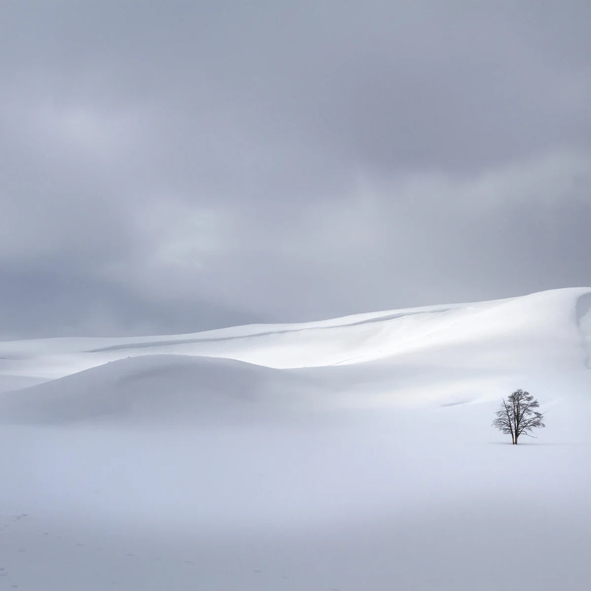 Tapetti Snowy Hills