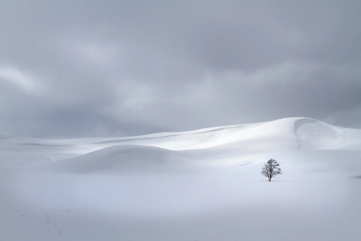 Tapetti Snowy Hills