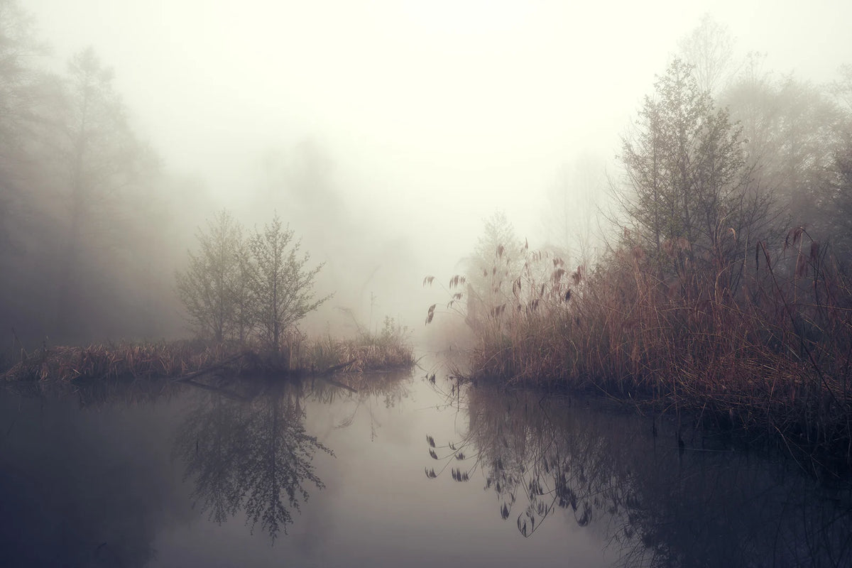 Tapetti Autumn Pond