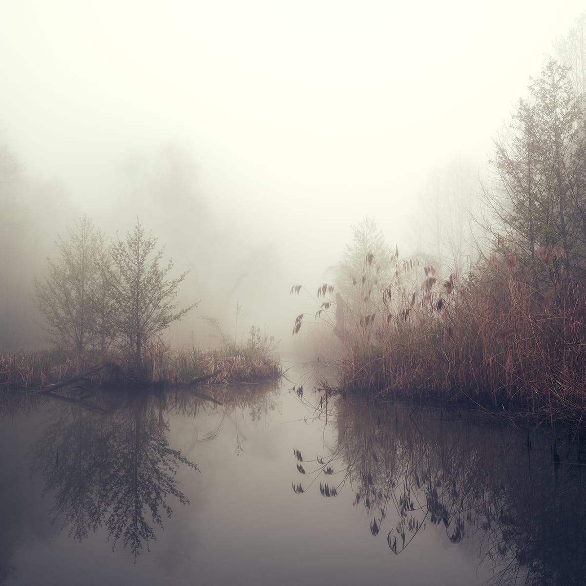 Tapetti Autumn Pond