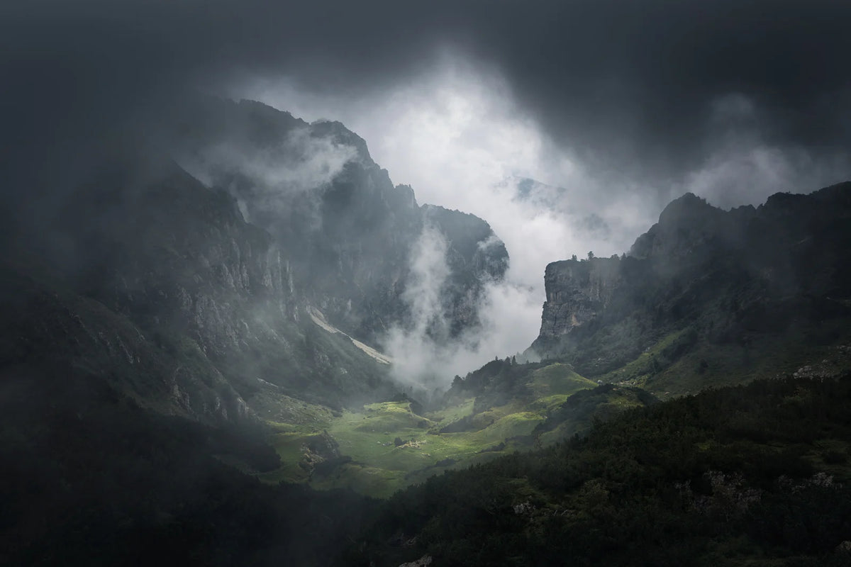 Tapetti Foggy Valley