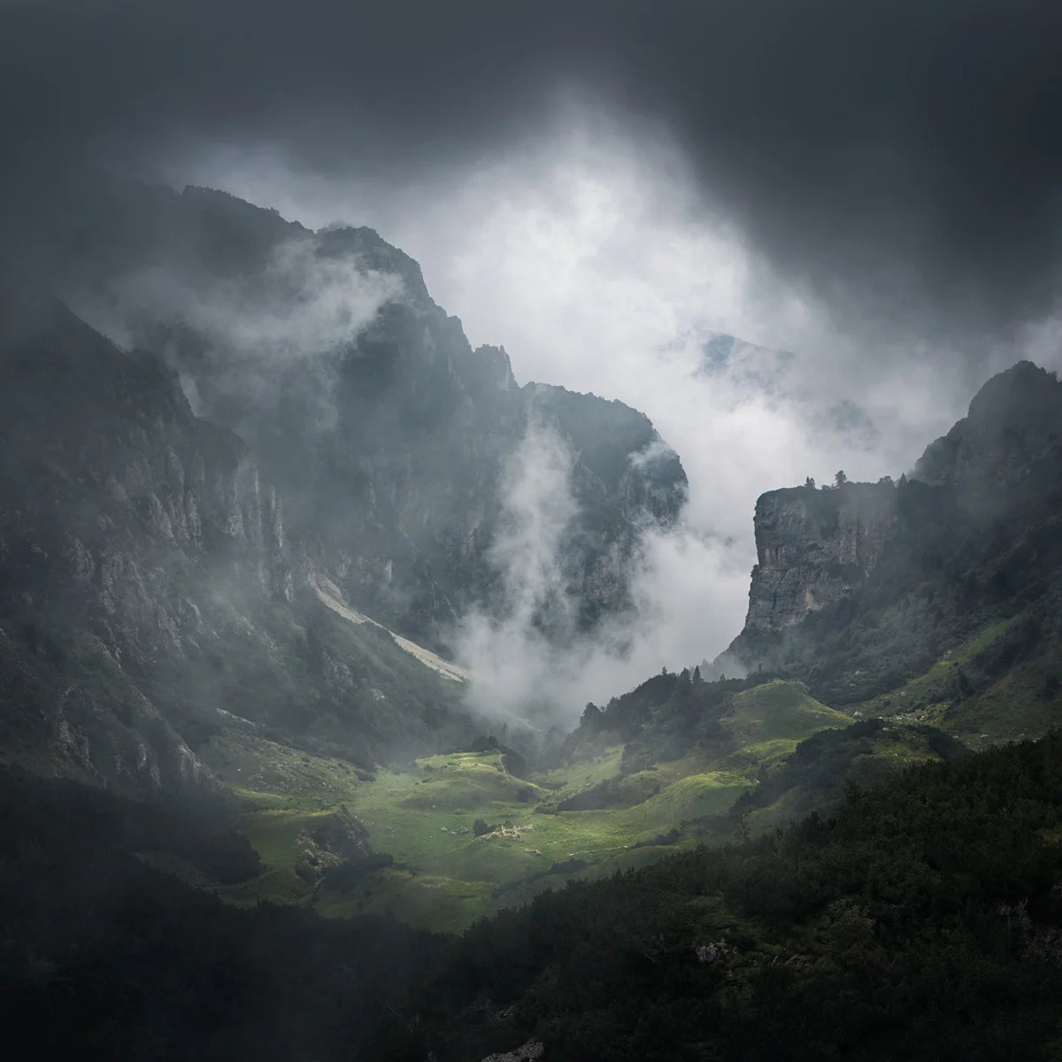 Tapetti Foggy Valley